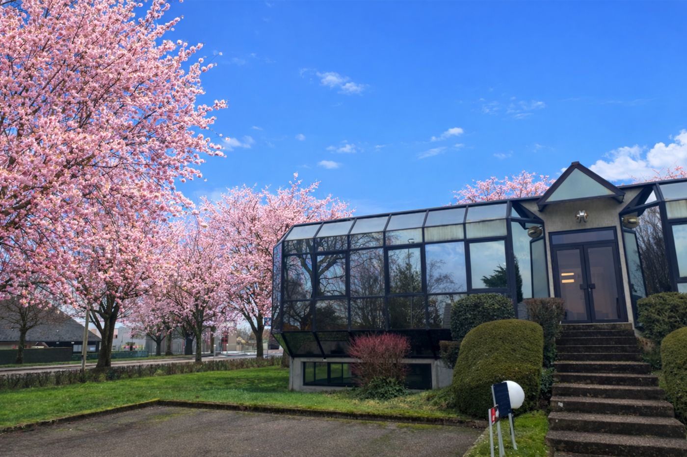 La façade vitrée d'OMEGA sous les cerisiers en fleurs